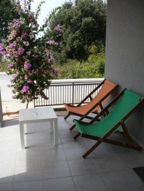 Hotels in Ulcinj